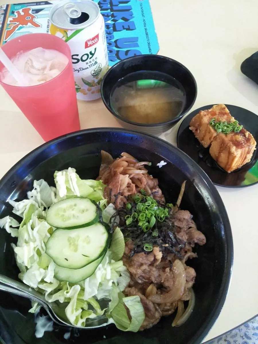 Halal Japanese Food In Singapore