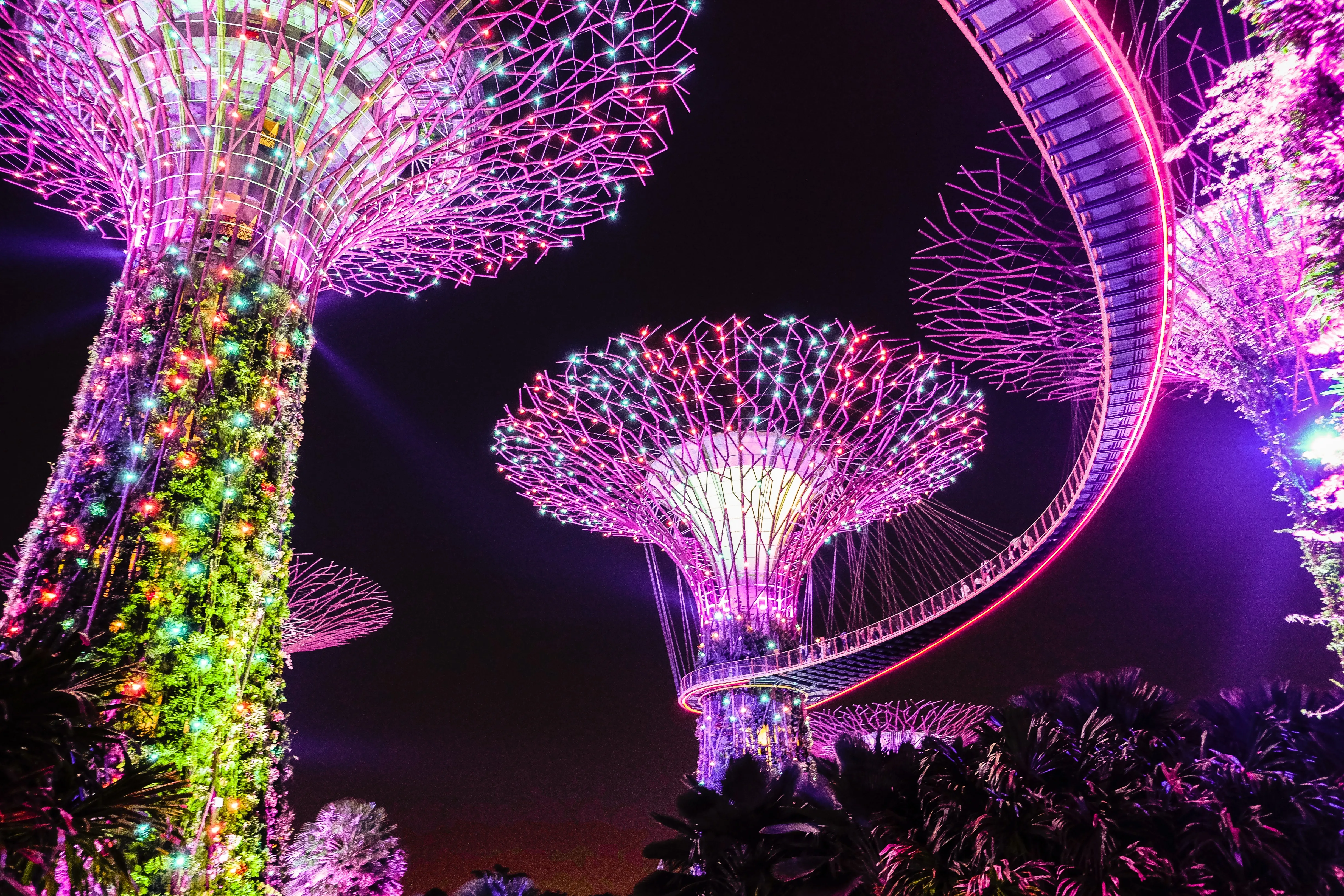 Gardens By The Bay