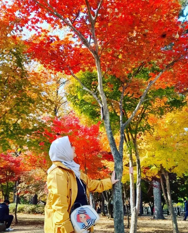 7D6N Itinerary to Conquering Seoul, Busan, and Jeju