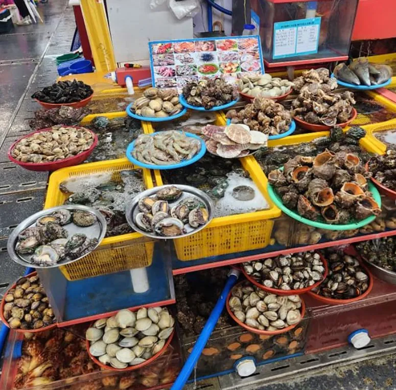 7D6N Itinerary to Conquering Seoul, Busan, and Jeju