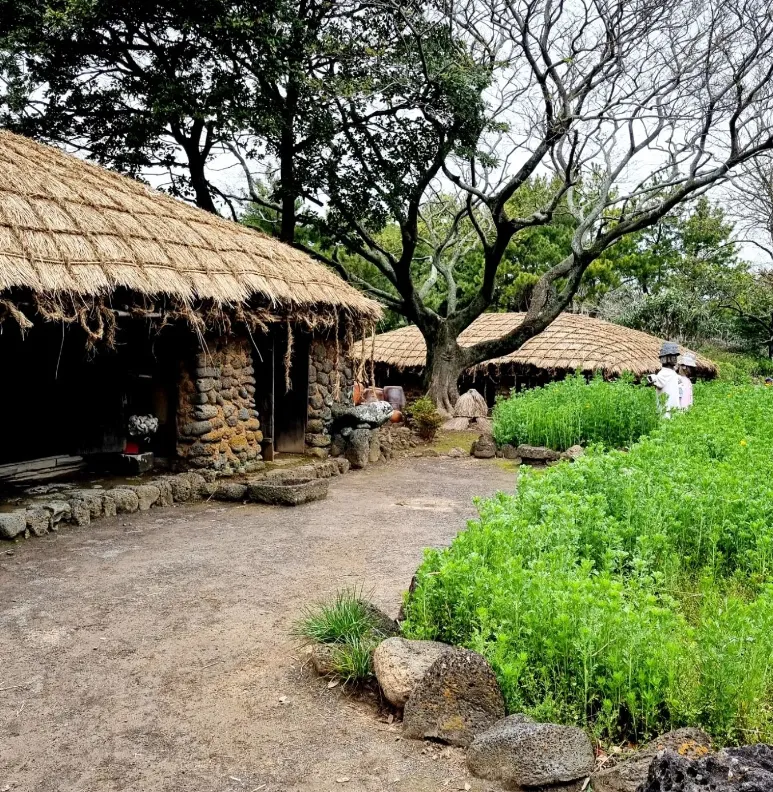 7D6N Itinerary to Conquering Seoul, Busan, and Jeju