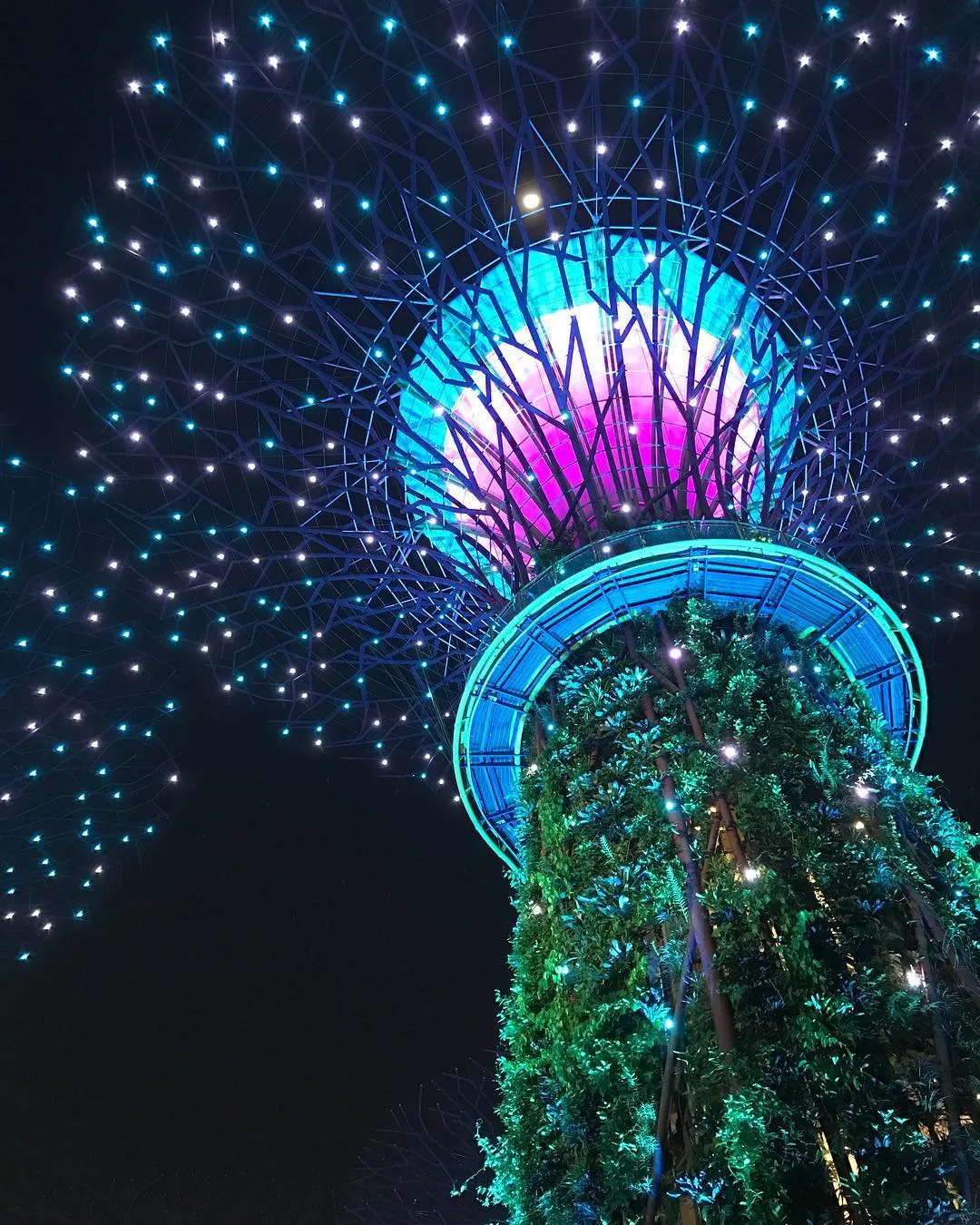 Maximise Your Trip: 6 Tips To Explore Singapore