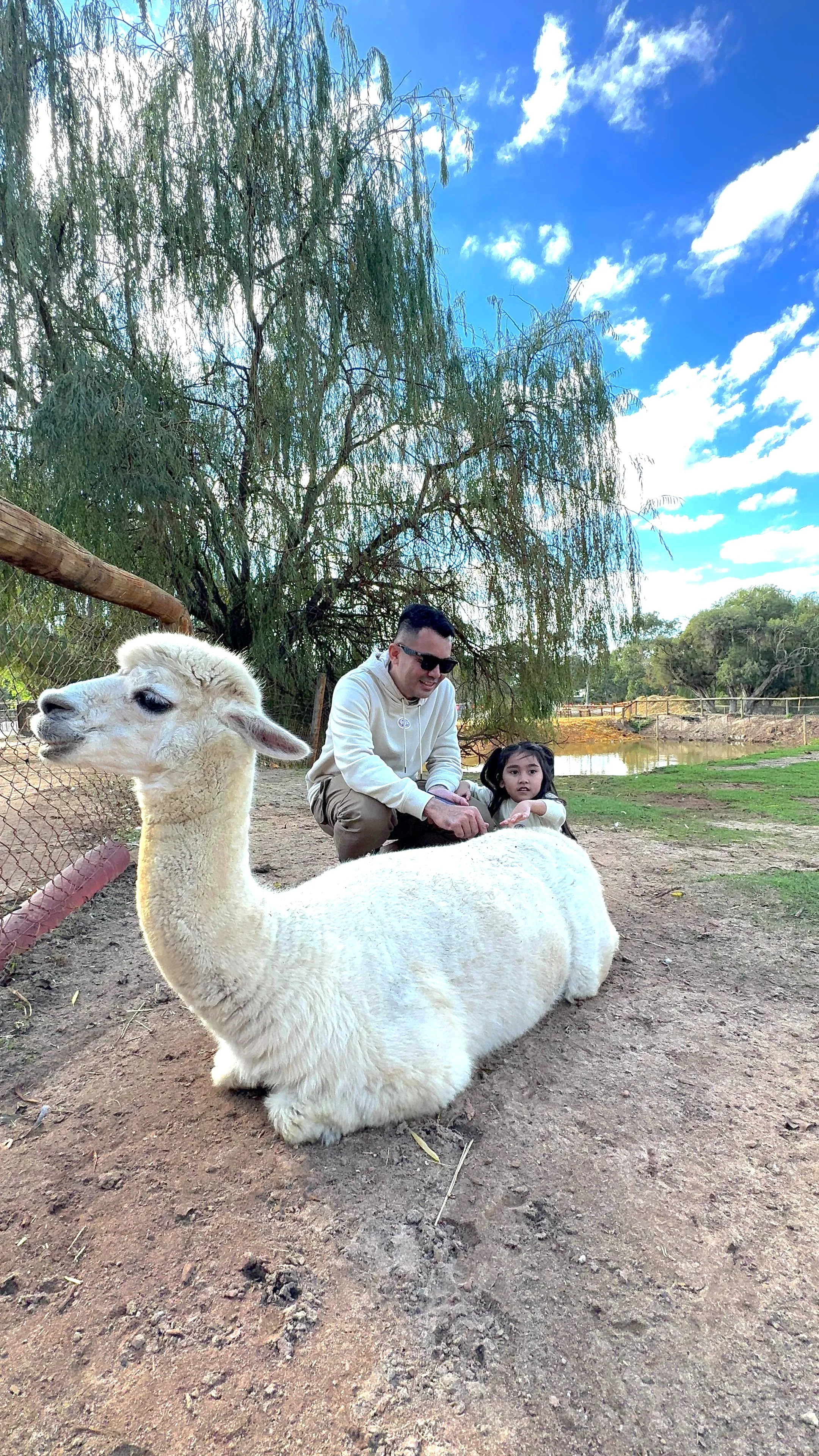 family friendly itinerary to perth
