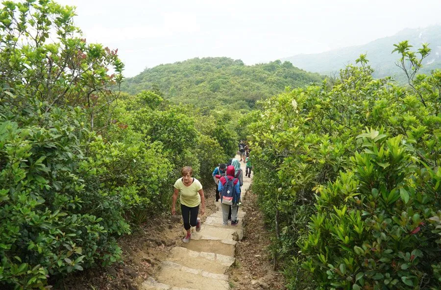 Conquer Hong Kong In 6D5N With This Epic Muslim-Friendly Itinerary