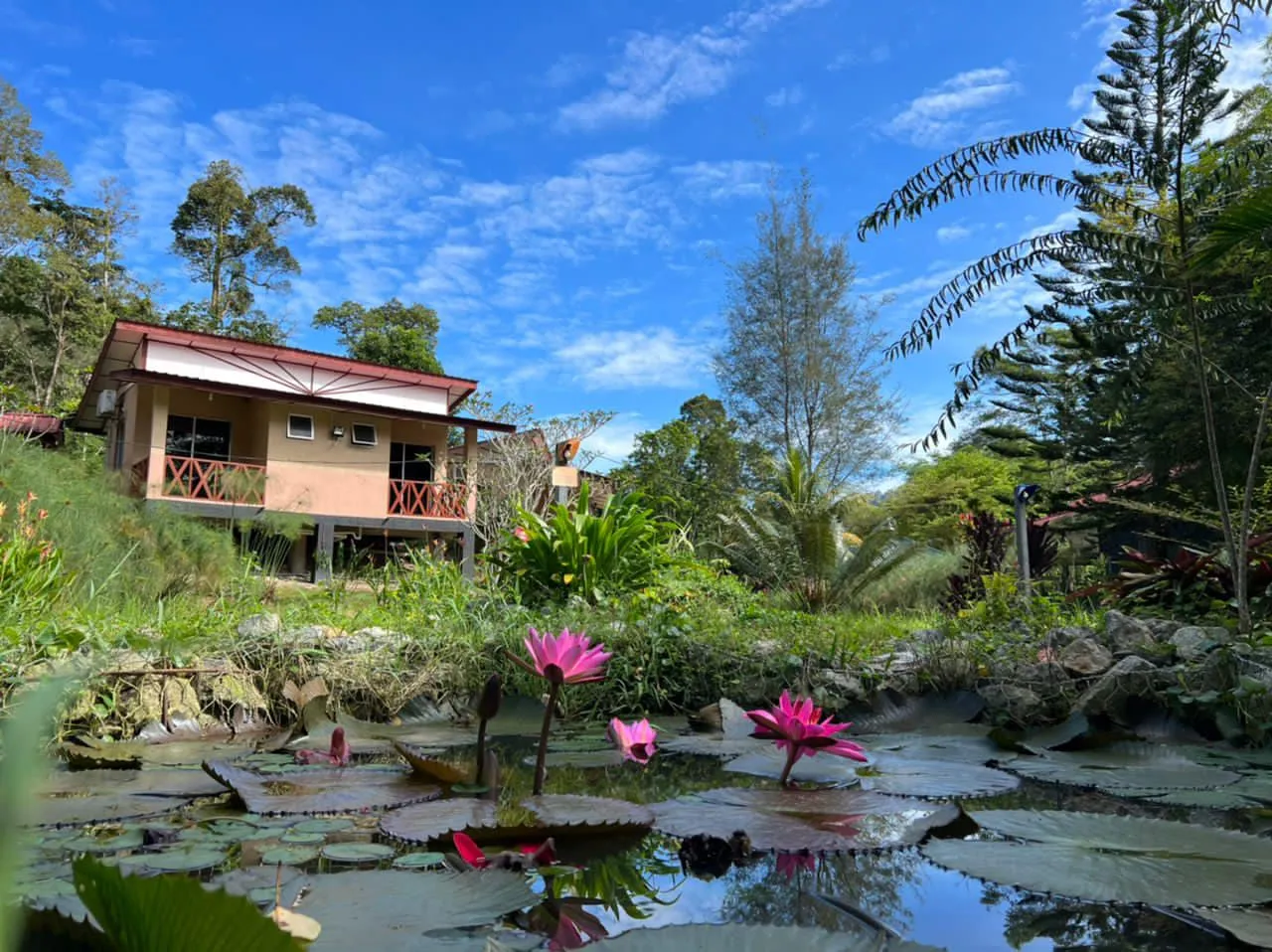 Riverside chalet Janda Baik