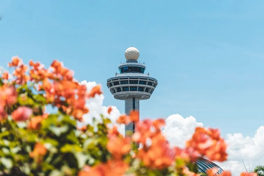 Makanan halal di bandara changi