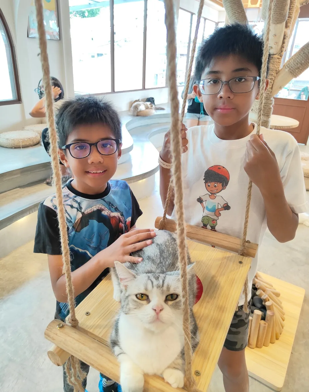 Cat Café