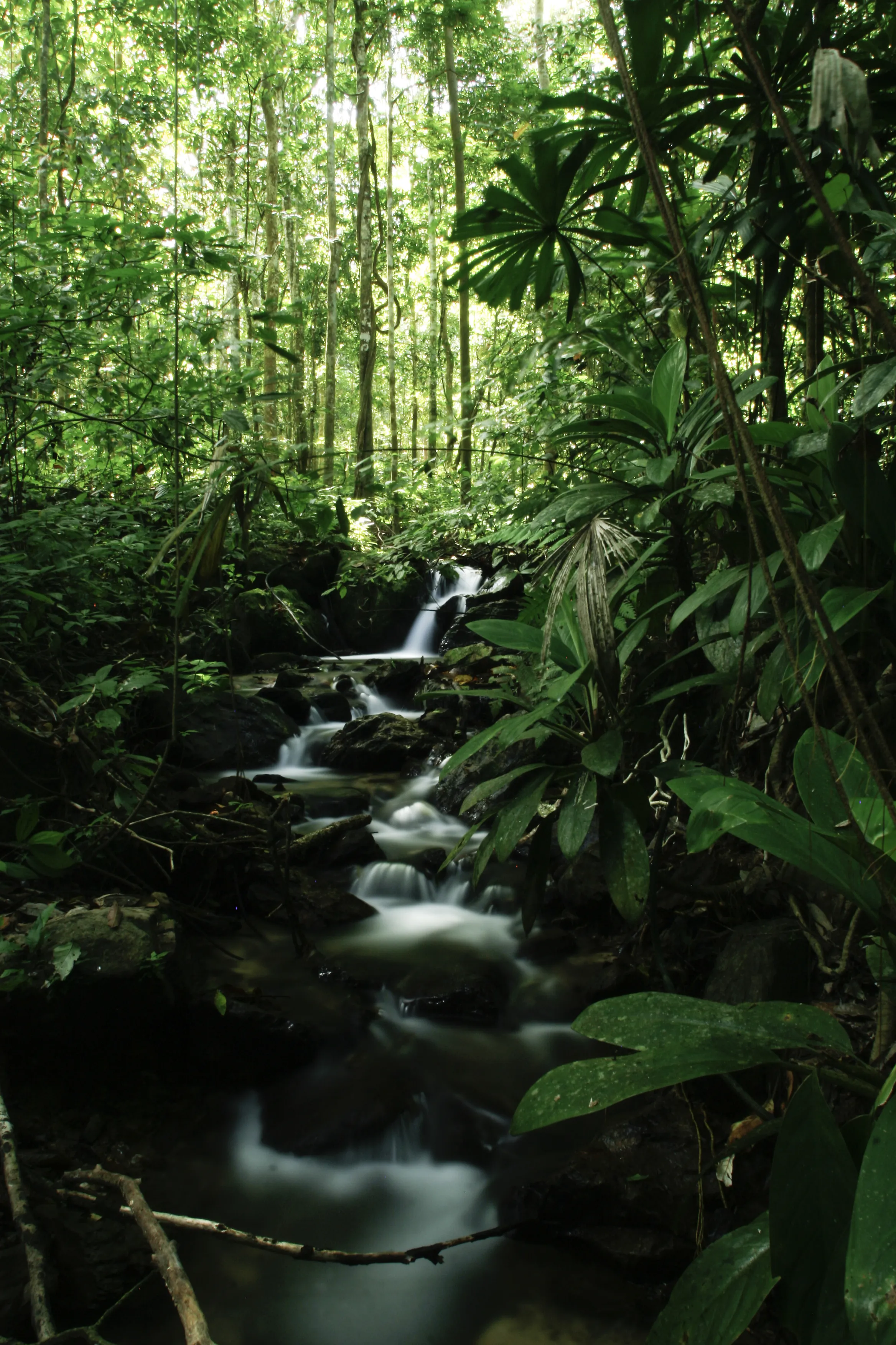 The Ultimate 3D2N Itinerary To Explore The Best Of Royal Belum State Park In Perak