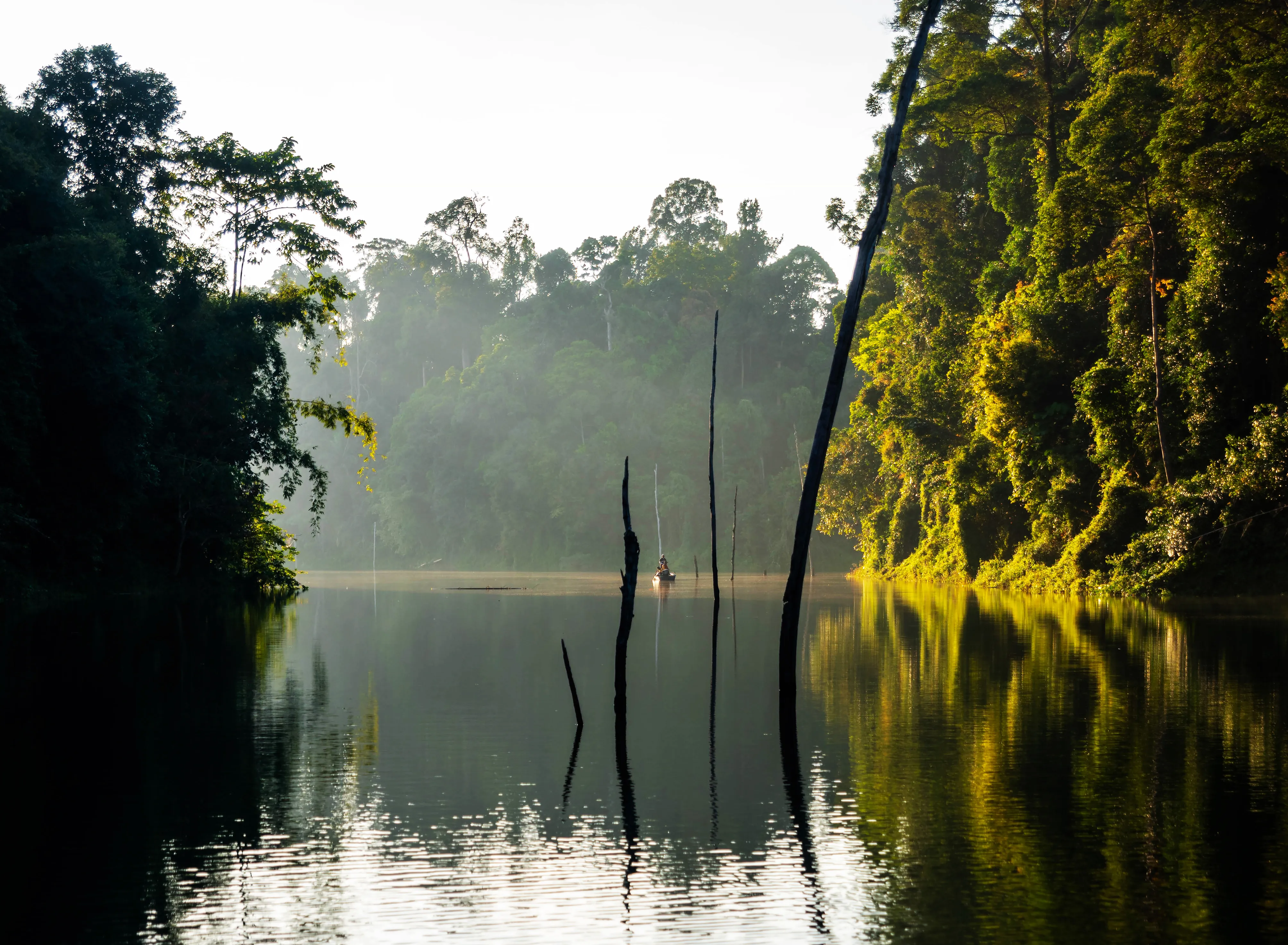 The Ultimate 3D2N Itinerary To Explore The Best Of Royal Belum State Park In Perak