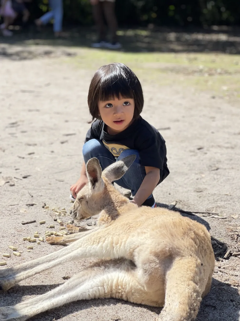 Yanchep National Park