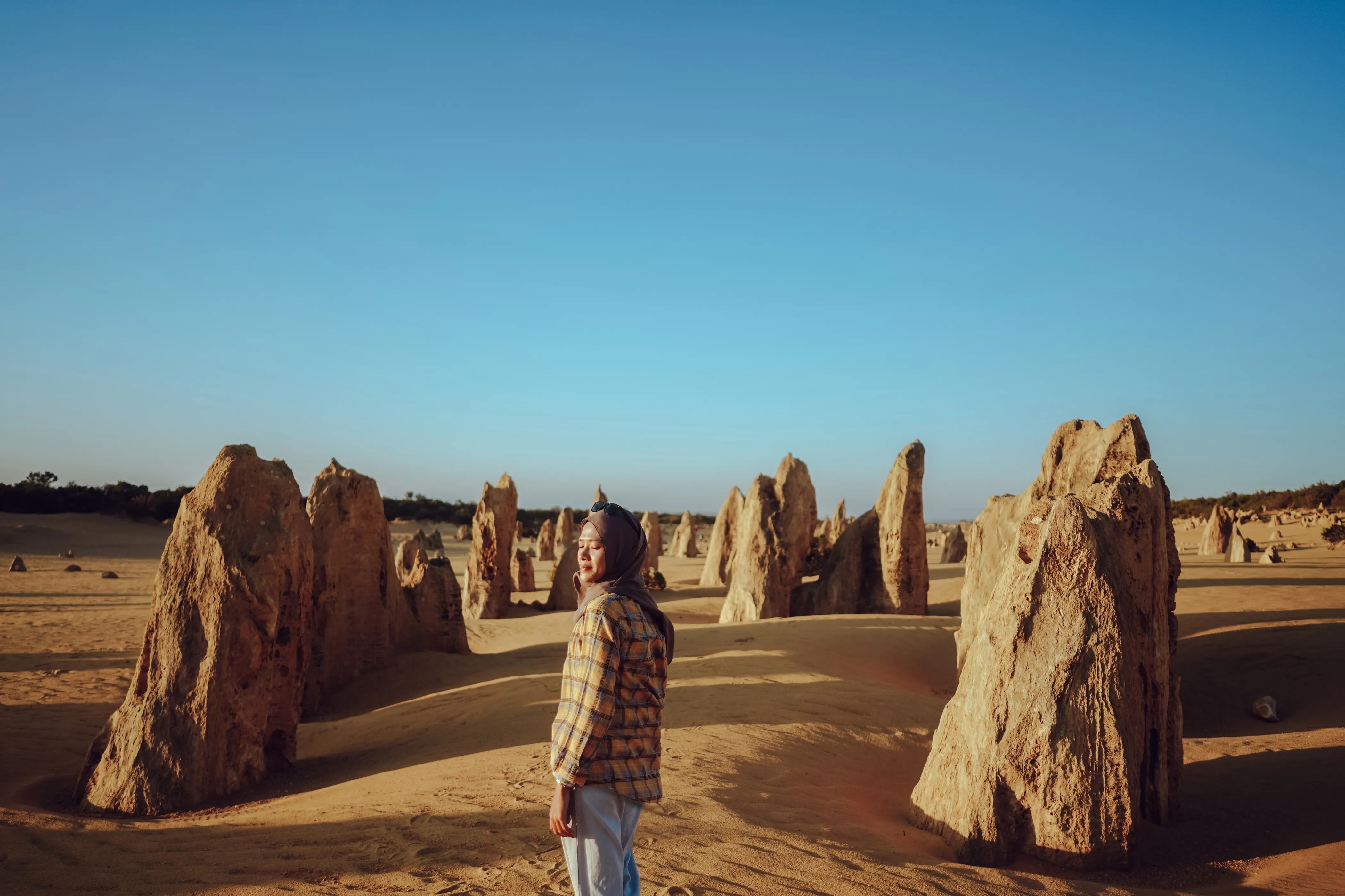 The Pinnacles Desert