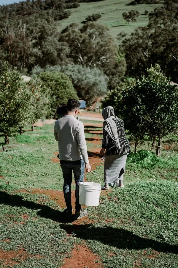 Golden Grove Citrus Orchard