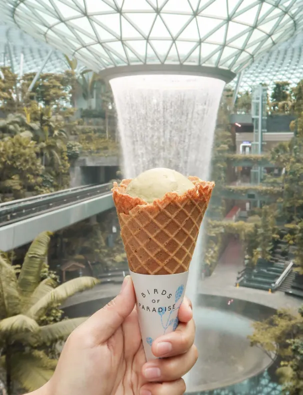 Things To Do At Changi Airport