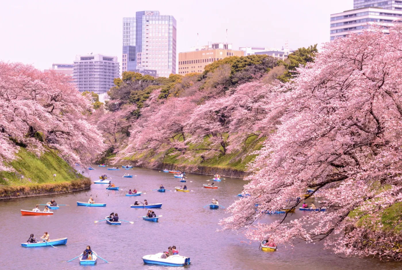 Japan VS Korea: Which Destination Is Better For Budget Travellers?
