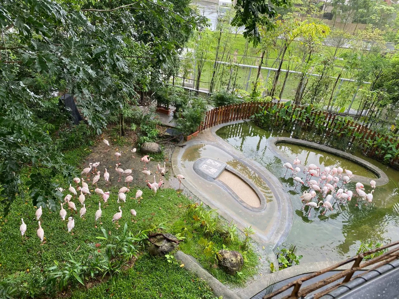 A Muslim Traveller’s Guide To Bird Paradise Singapore