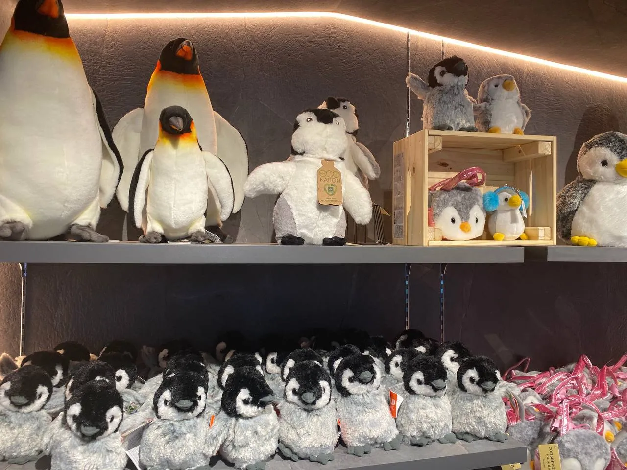 A Muslim Traveller’s Guide To Bird Paradise Singapore
