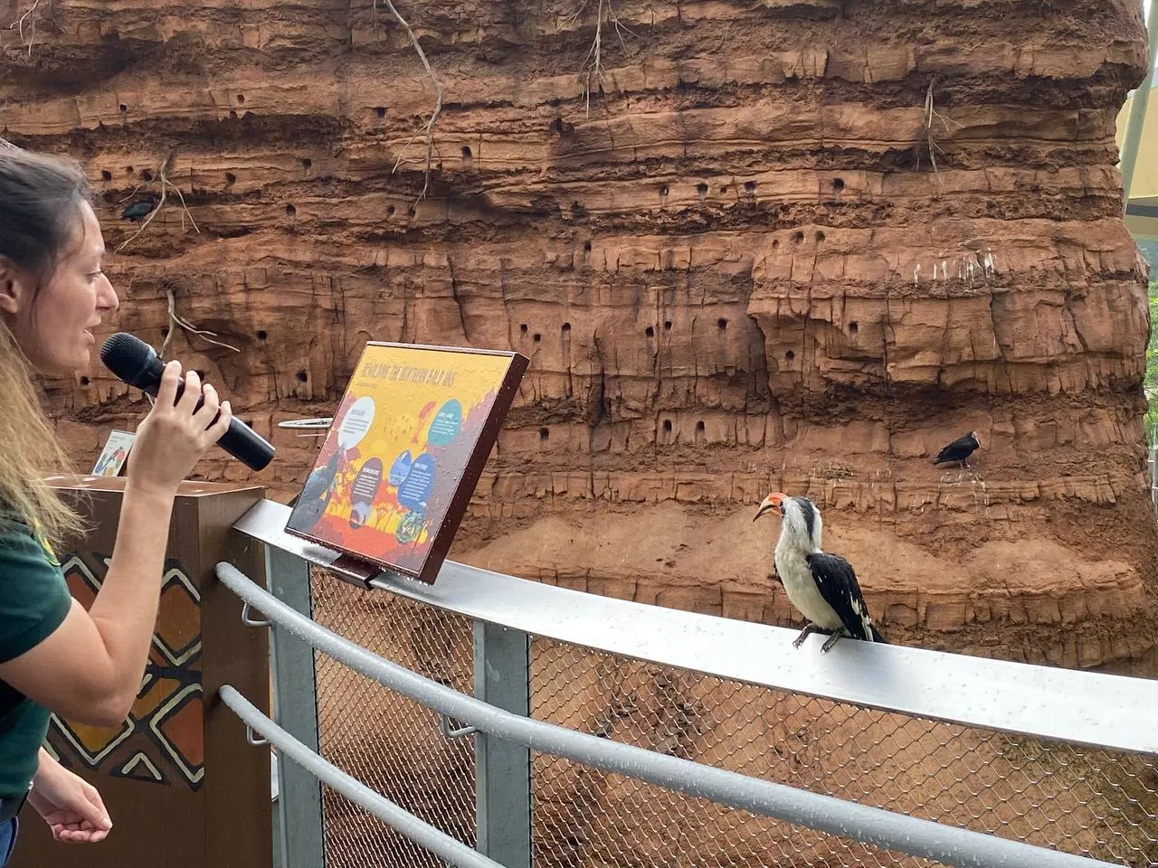 A Muslim Traveller’s Guide To Bird Paradise Singapore