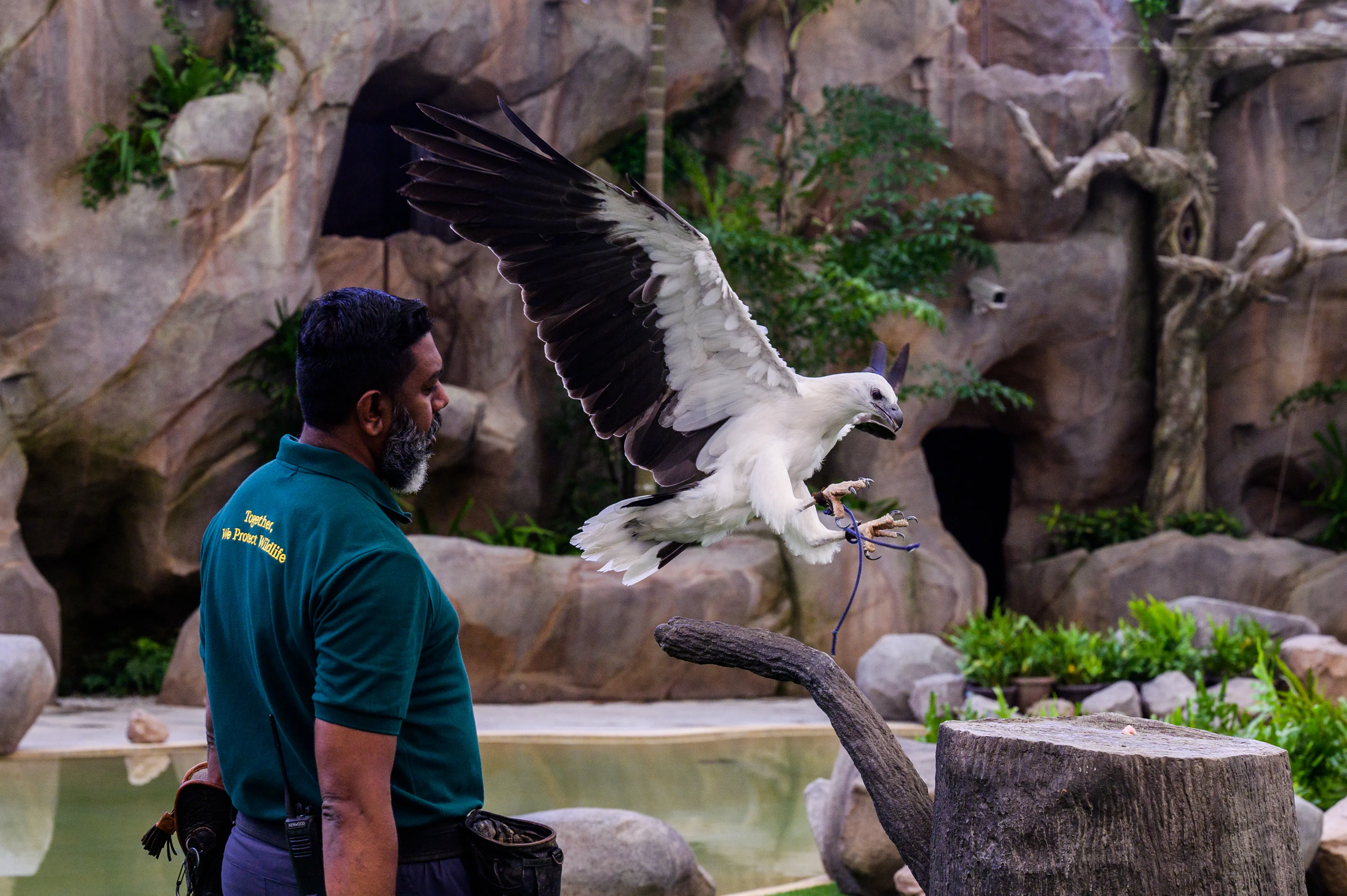 Bird Paradise Muslim Family Guide: 10 Top Singapore Attractions with Prayer Spaces