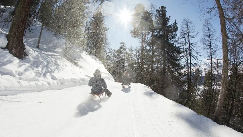 sledding