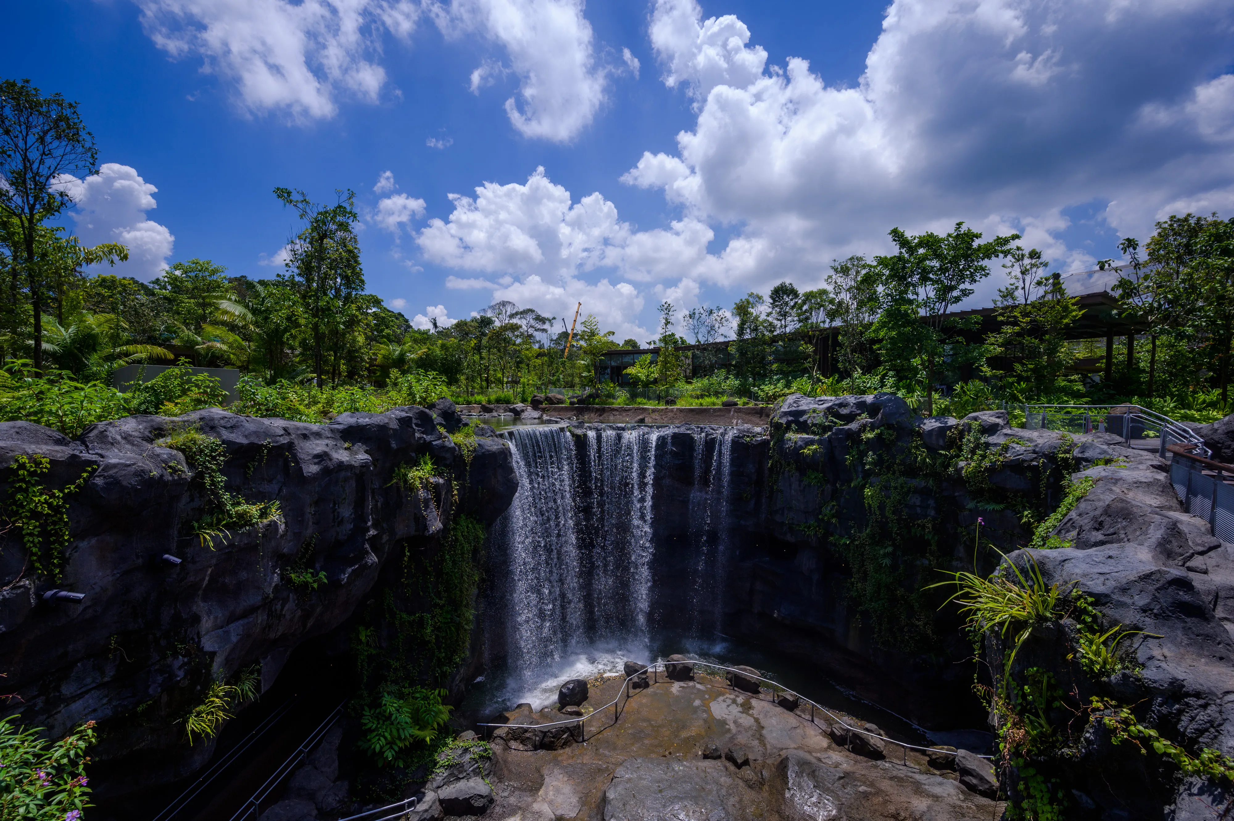 Credit: The Mandai Wildlife Reserve