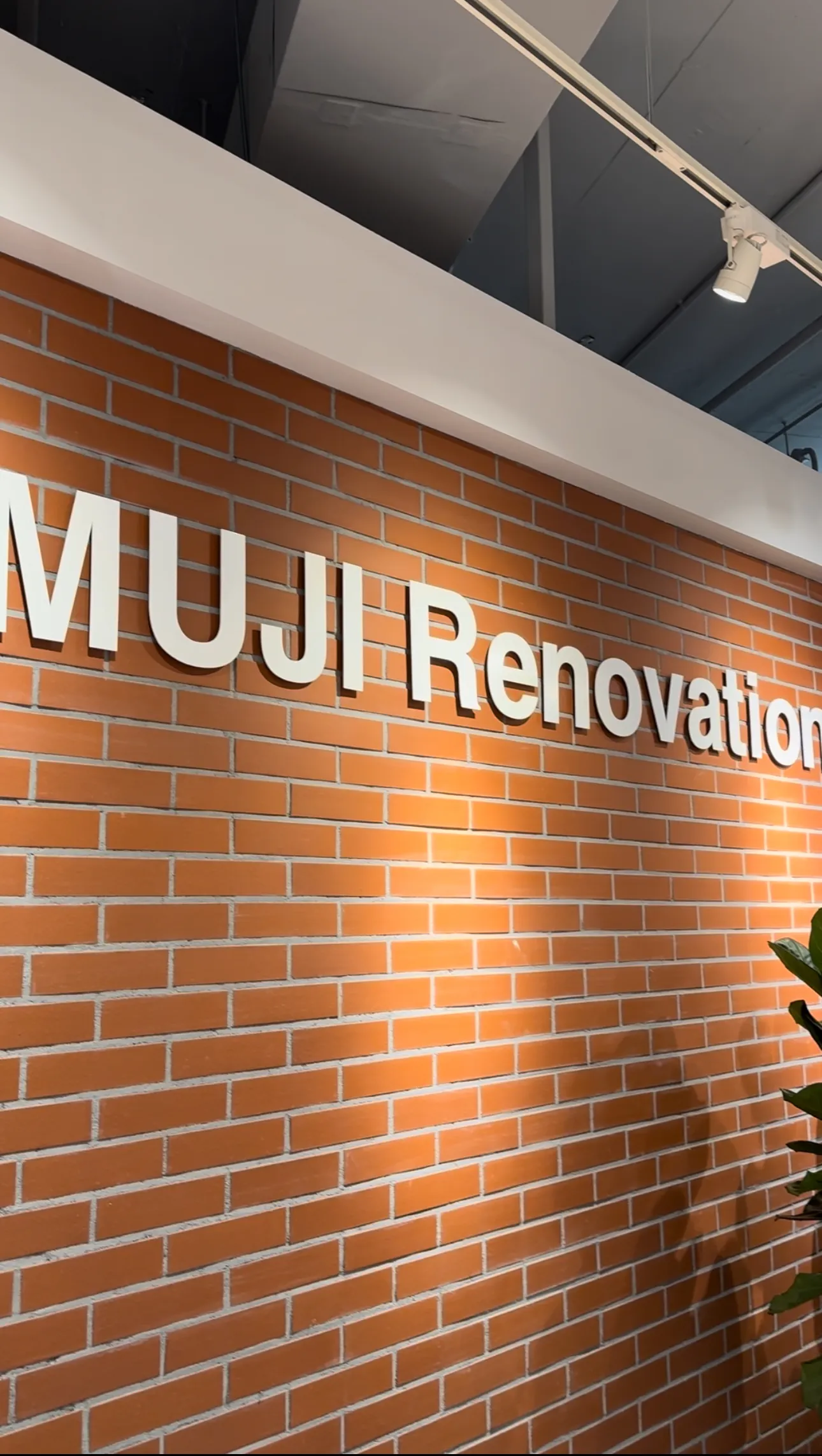 MUJI Renovation