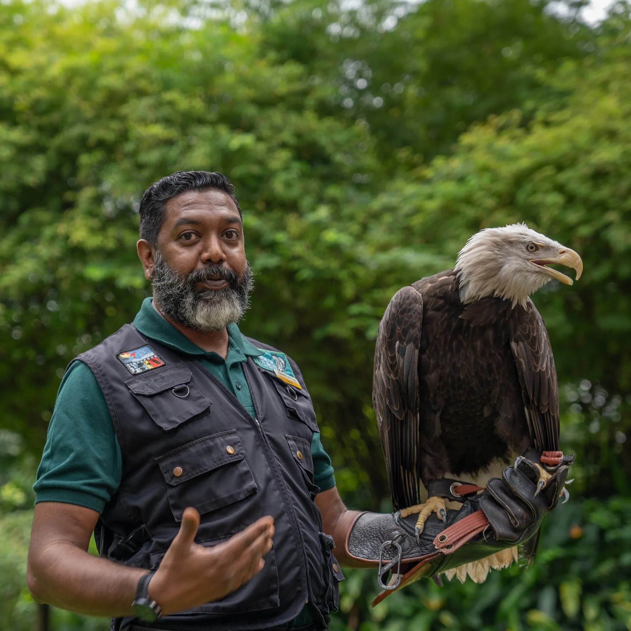 New things to do in Singapore