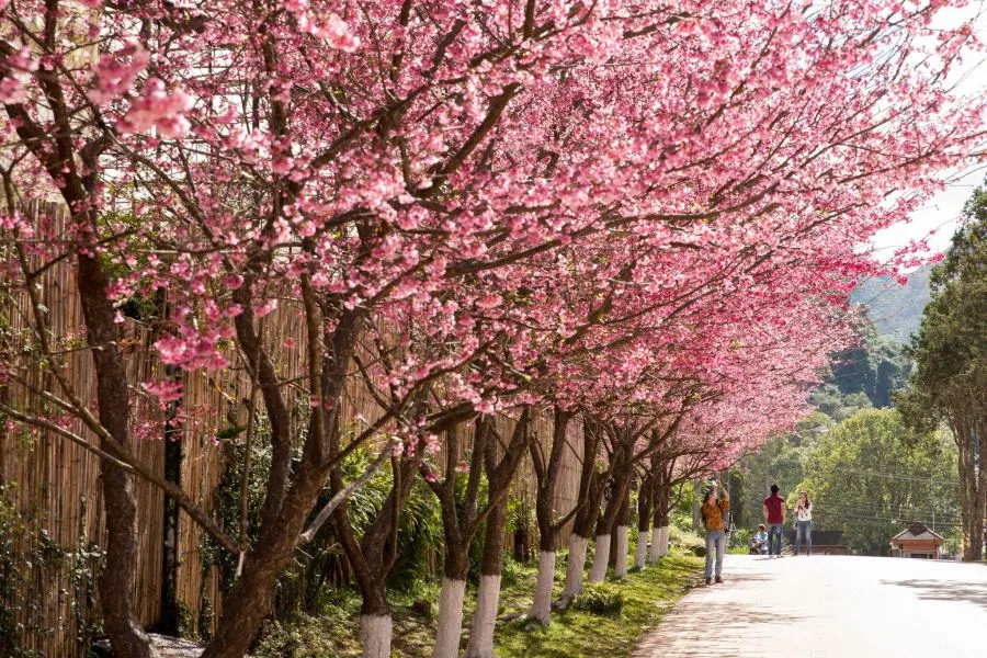 chilly destinations in thailand