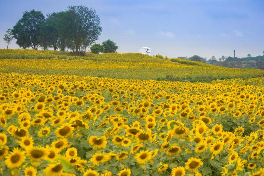 chilly destinations in thailand