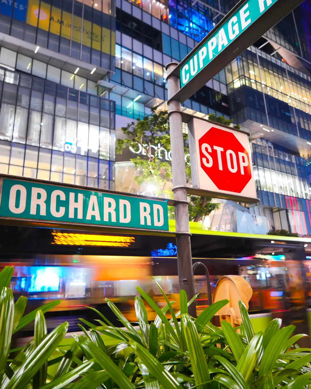 Orchard