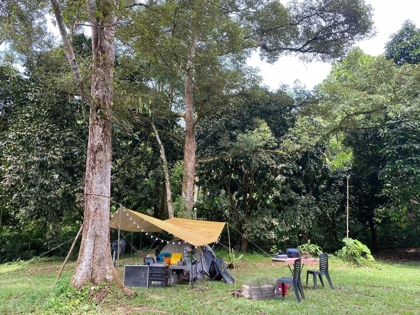 Hammocks By The River