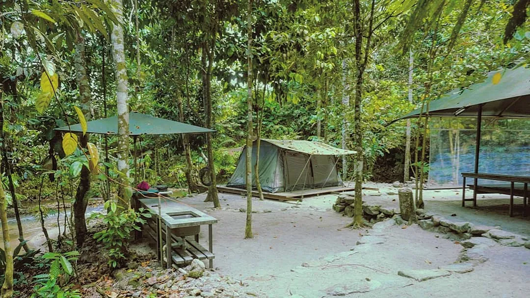 Rumah Kebun