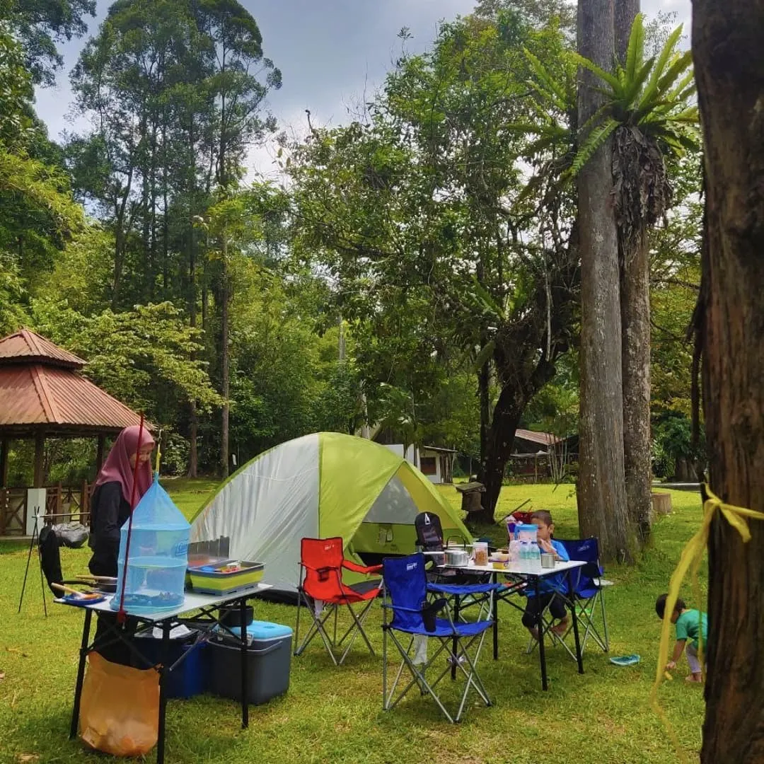 Commonwealth Forest Park