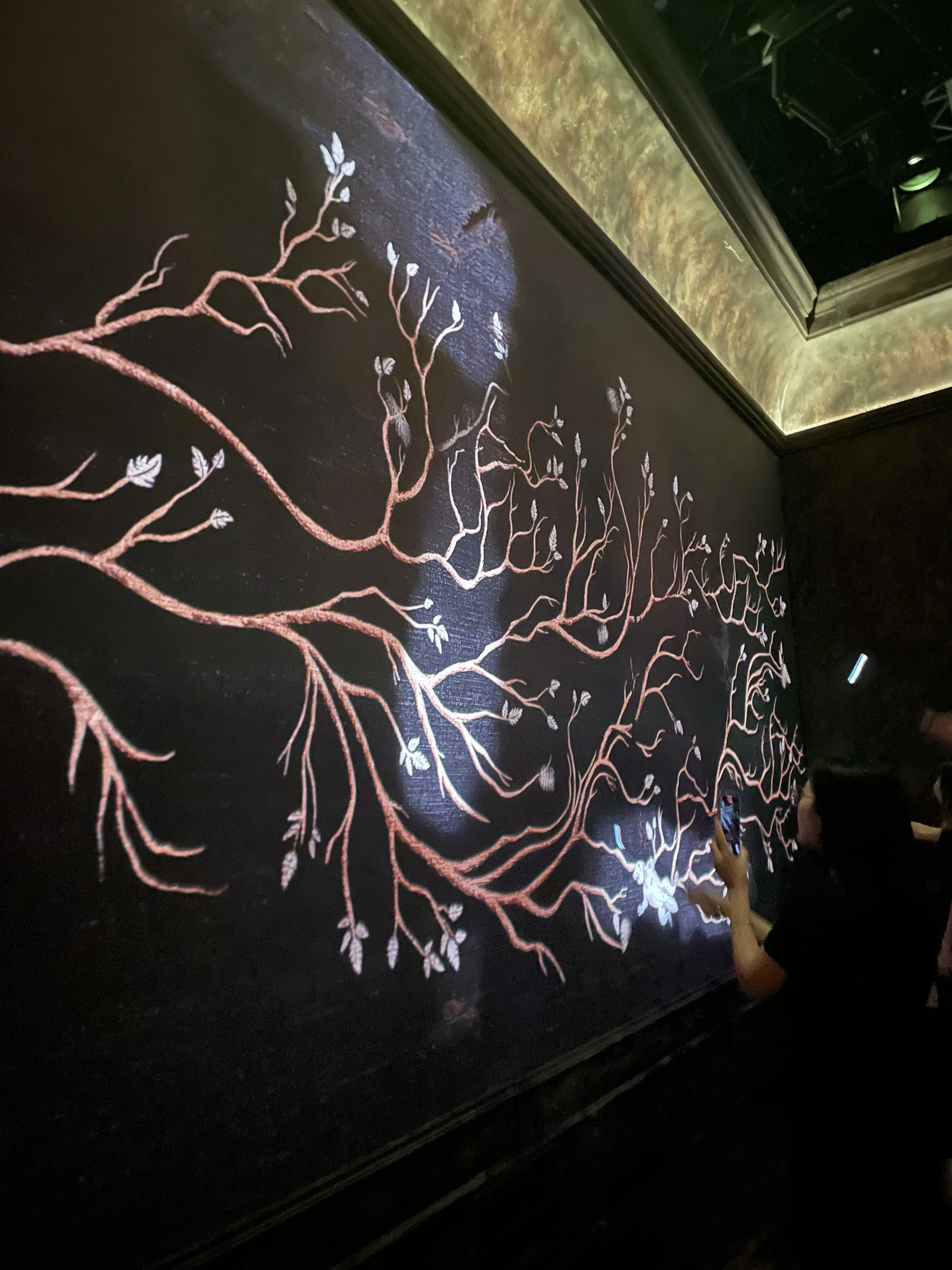 Harry Potter: Visions of Magic
