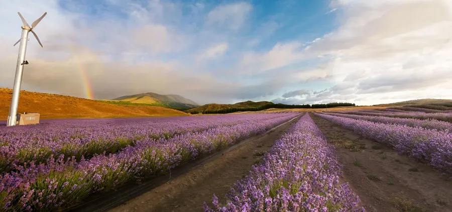 10 Halal Food Stops (Near Top Attractions) In New Zealand’s South Island