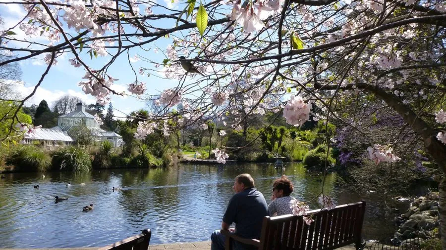 10 Halal Food Stops (Near Top Attractions) In New Zealand’s South Island
