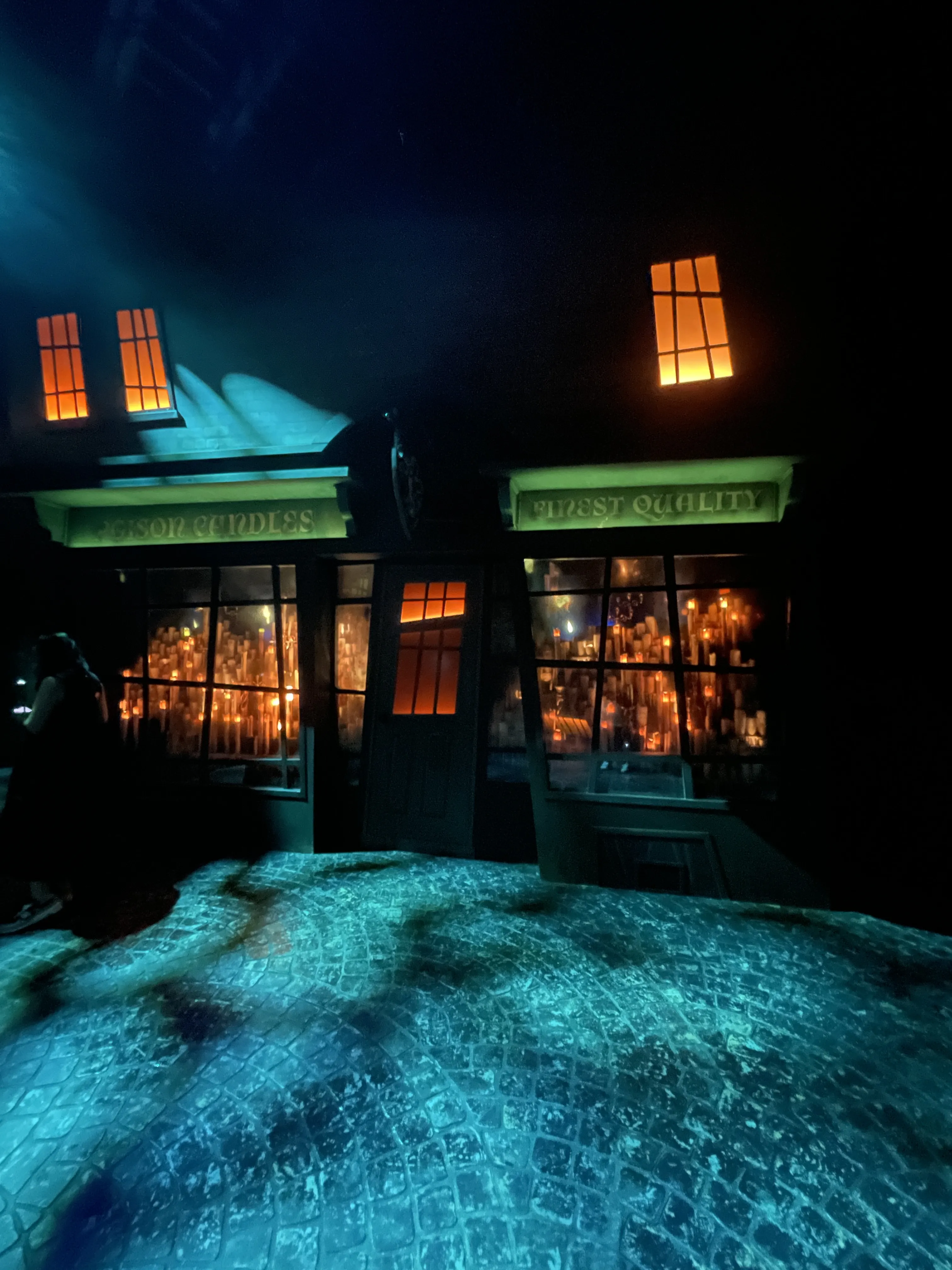 A Wizard For A Day At Harry Potter: Visions Of Magic