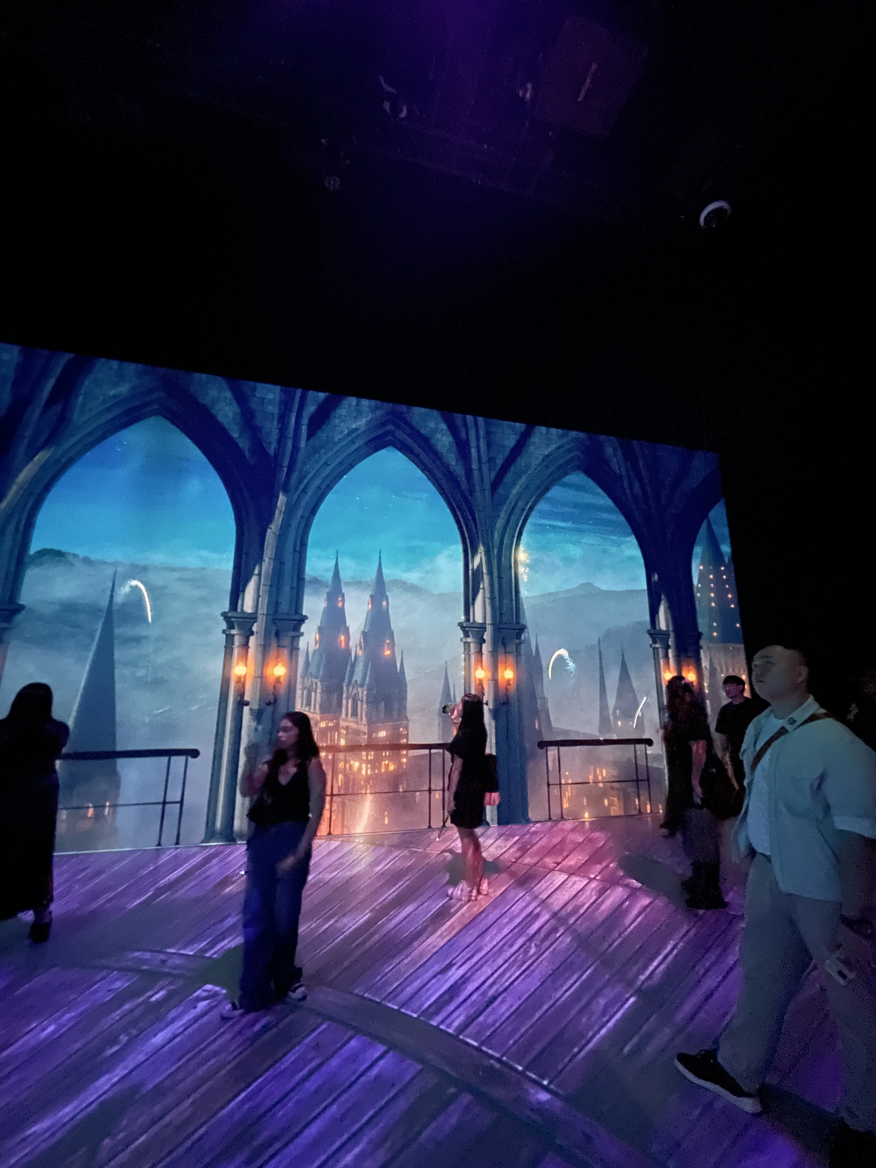 A Wizard For A Day At Harry Potter: Visions Of Magic