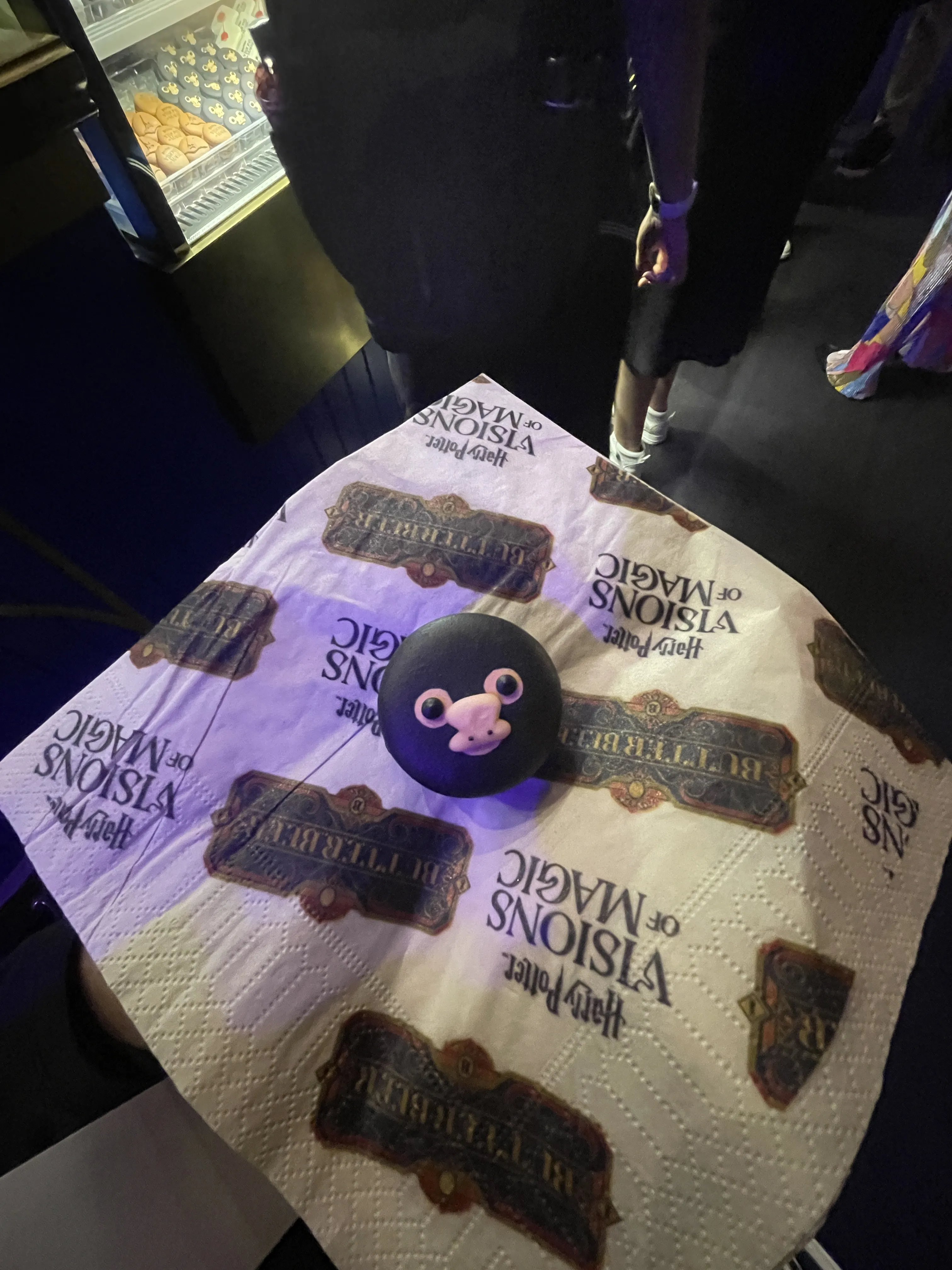 A Wizard For A Day At Harry Potter: Visions Of Magic