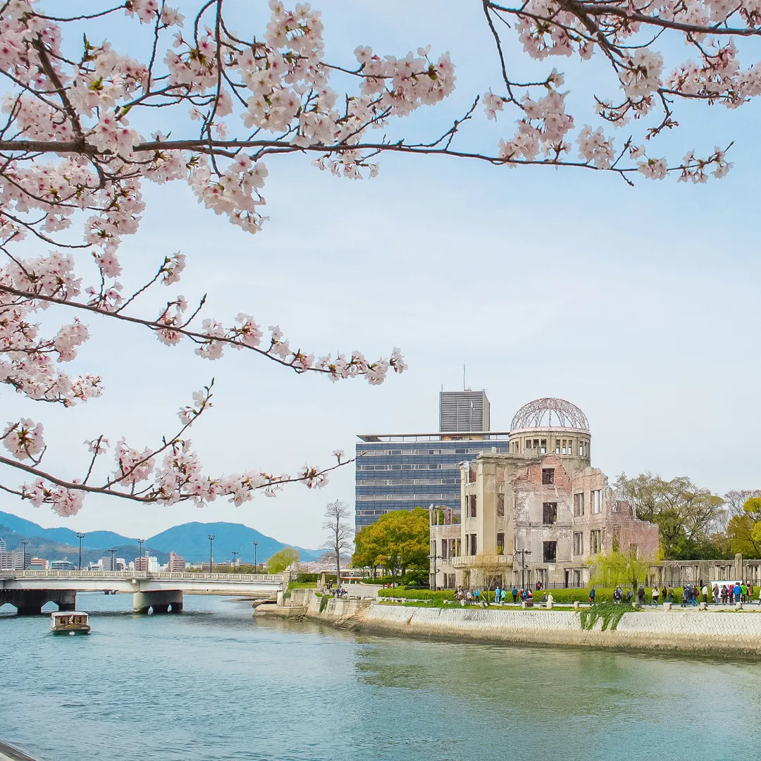 Japan's Cherry Blossom Forecast 2025