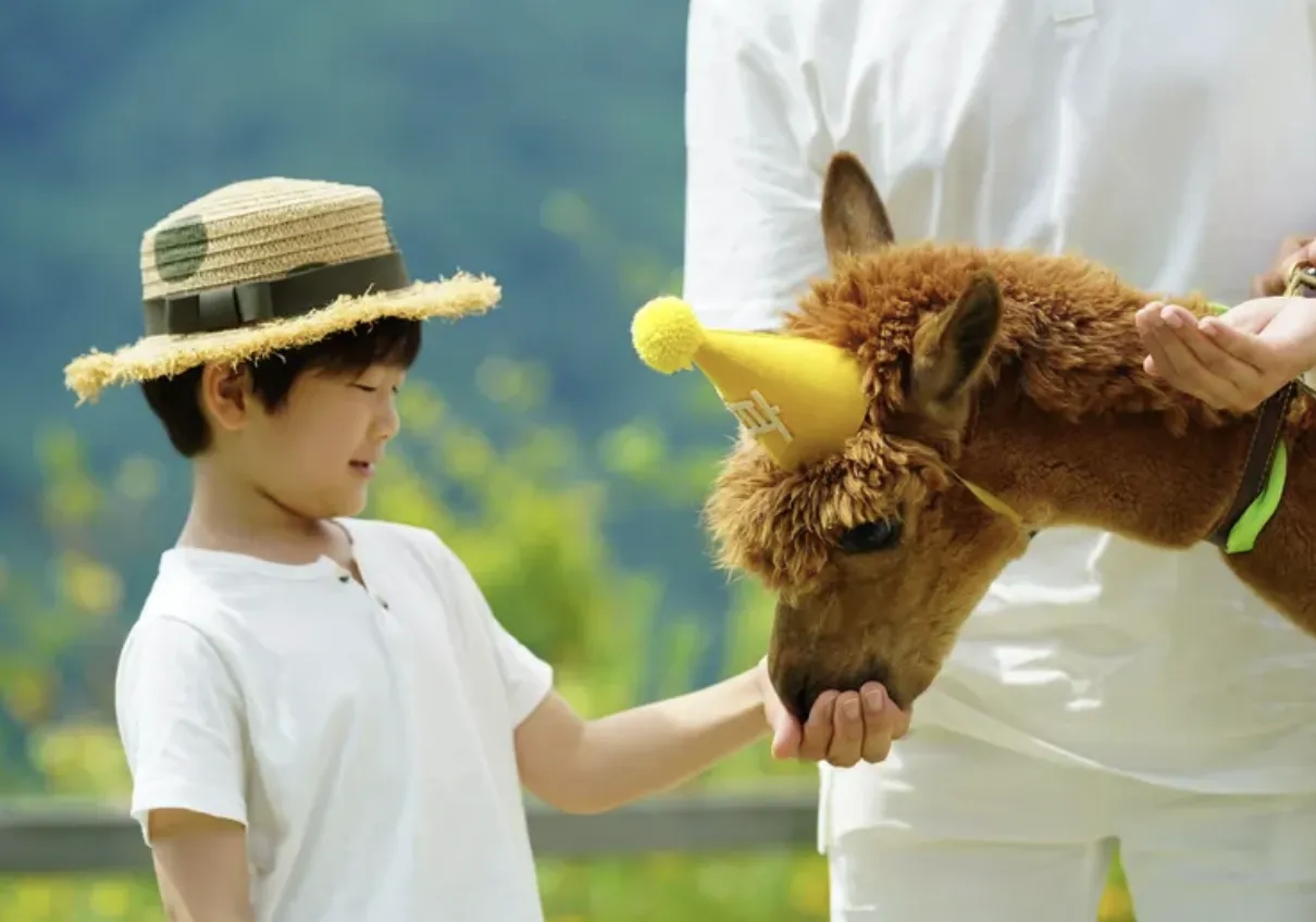 The Ultimate 5D4N Muslim-Friendly Kid-friendly Seoul Itinerary