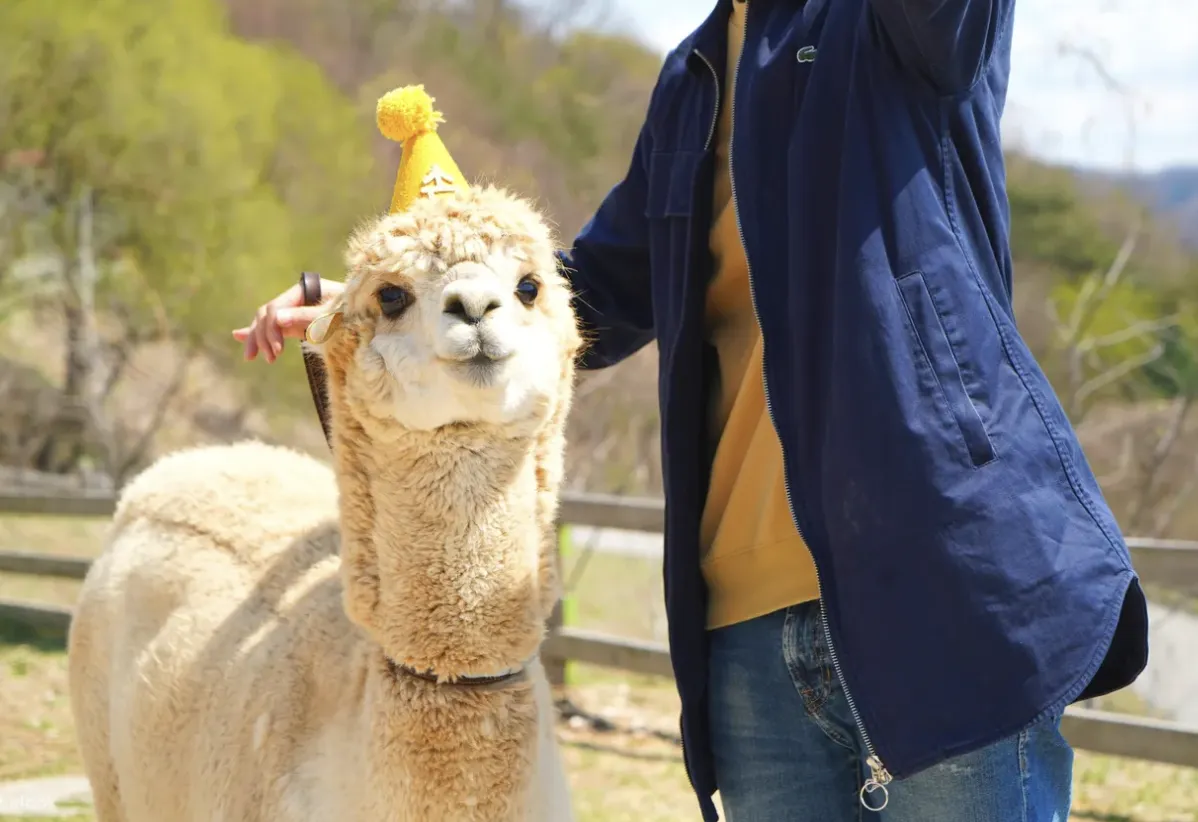 The Ultimate 5D4N Muslim-Friendly Kid-friendly Seoul Itinerary