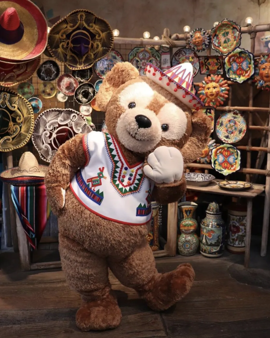 Tokyo Disneyland vs DisneySea