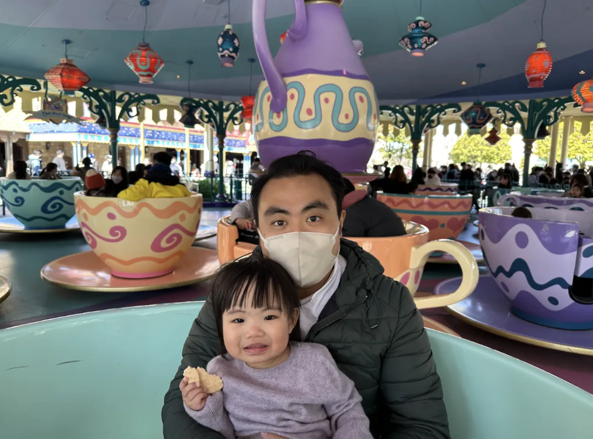 Tokyo Disneyland vs DisneySea