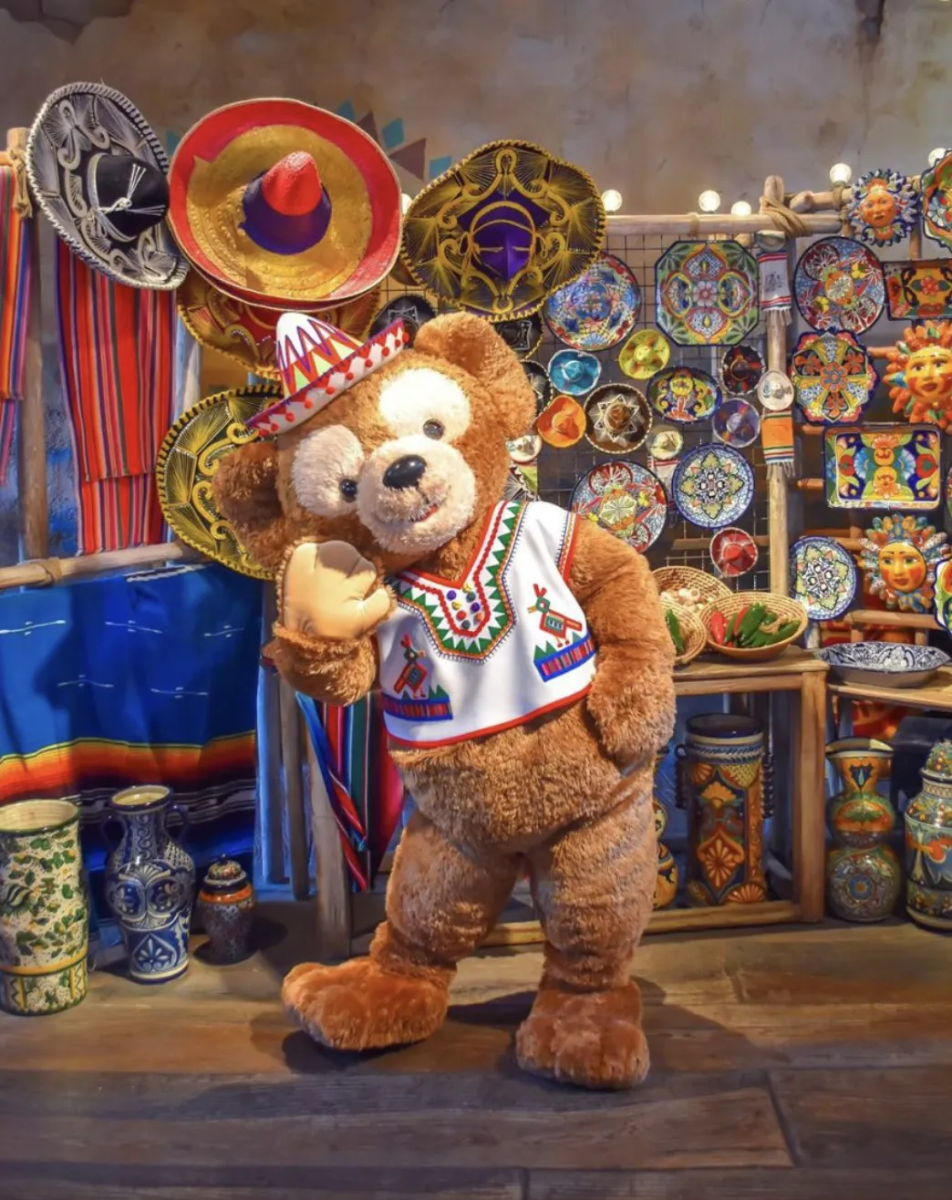 Tokyo Disneyland vs DisneySea