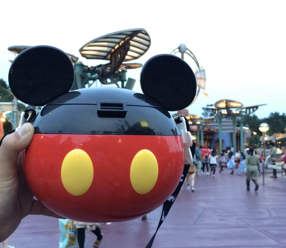 Tokyo Disneyland vs DisneySea