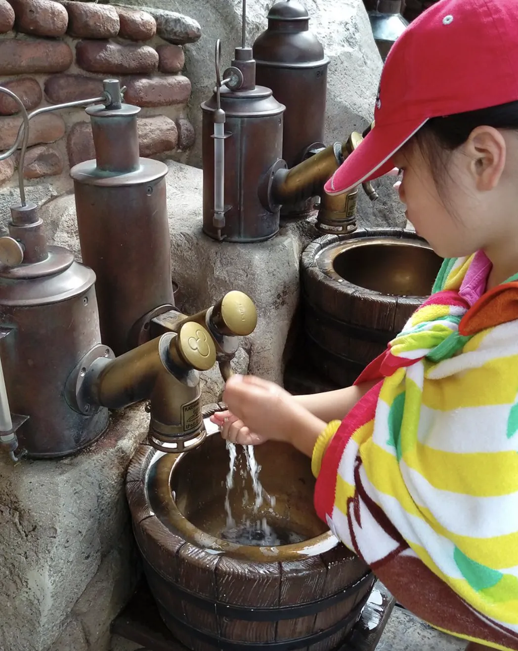 Tokyo Disneyland vs DisneySea
