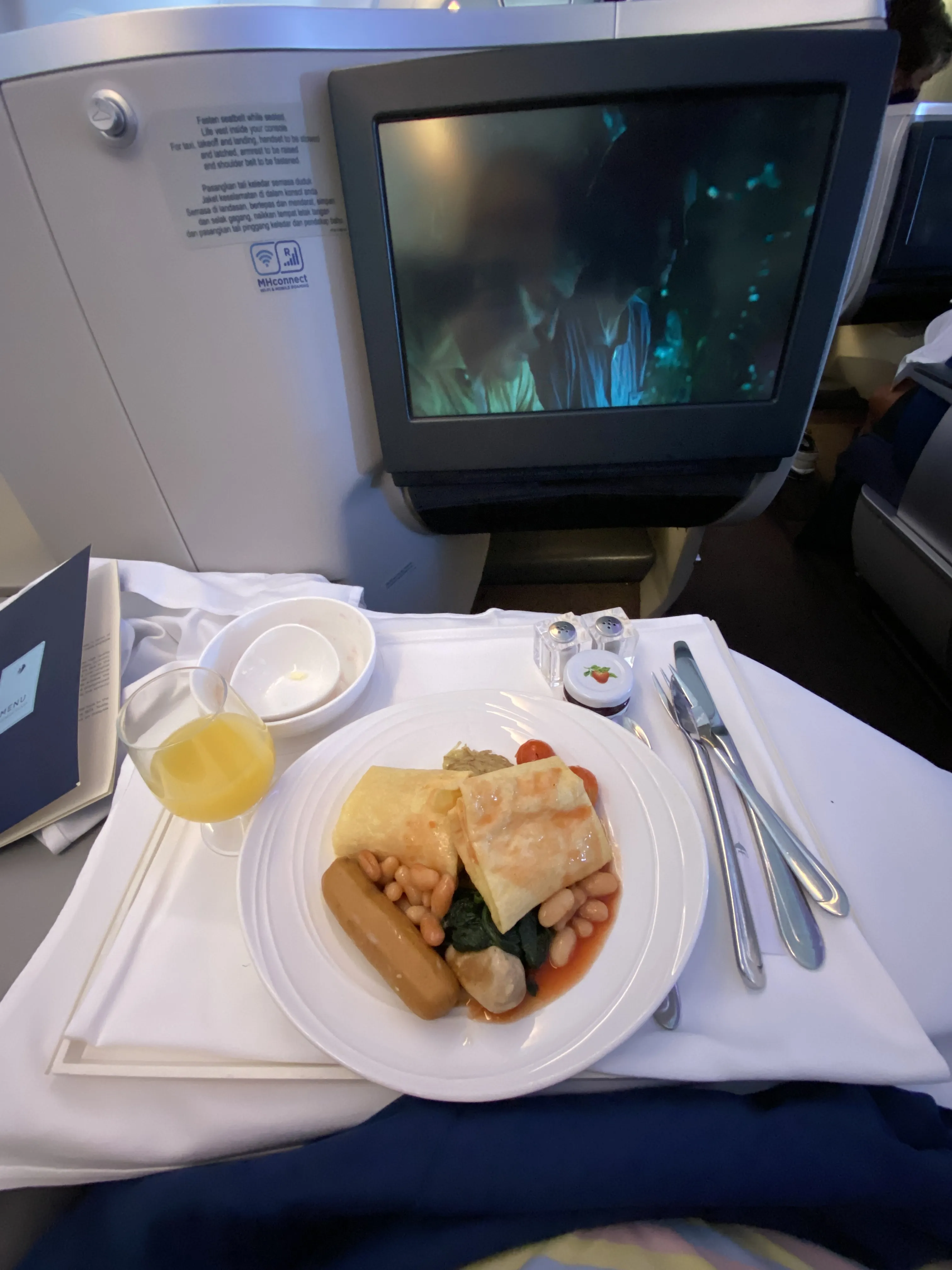 Malaysia Airlines A330-300 Business Class Honest Review