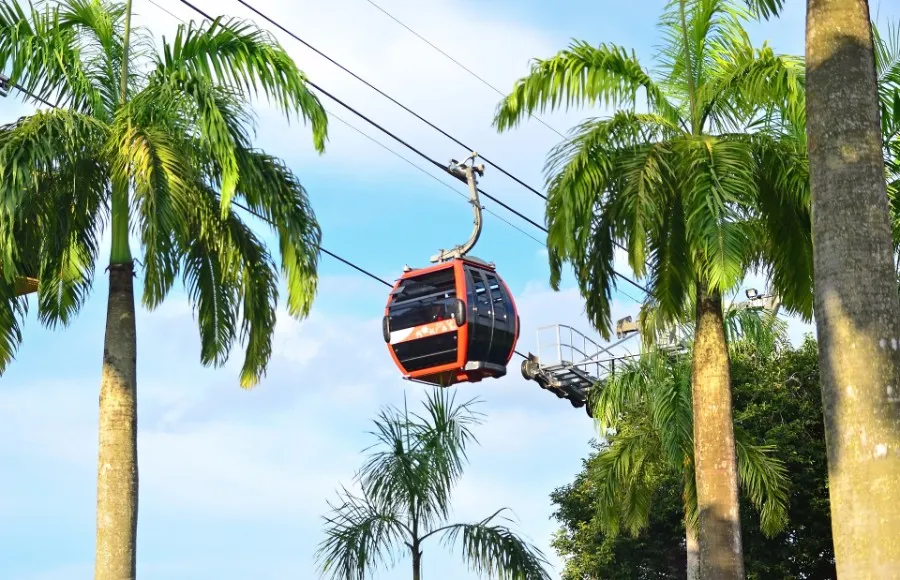 Maximise Your Trip: 6 Tips To Explore Singapore