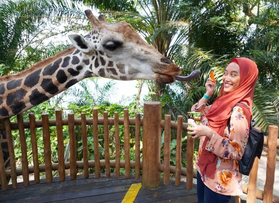Maximise Your Trip: 6 Tips To Explore Singapore