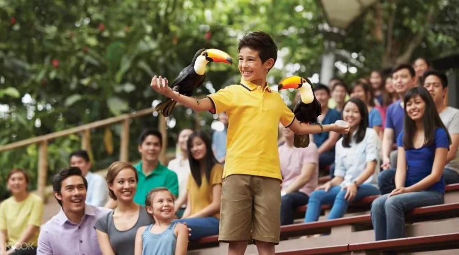 Maximise Your Trip: 6 Tips To Explore Singapore